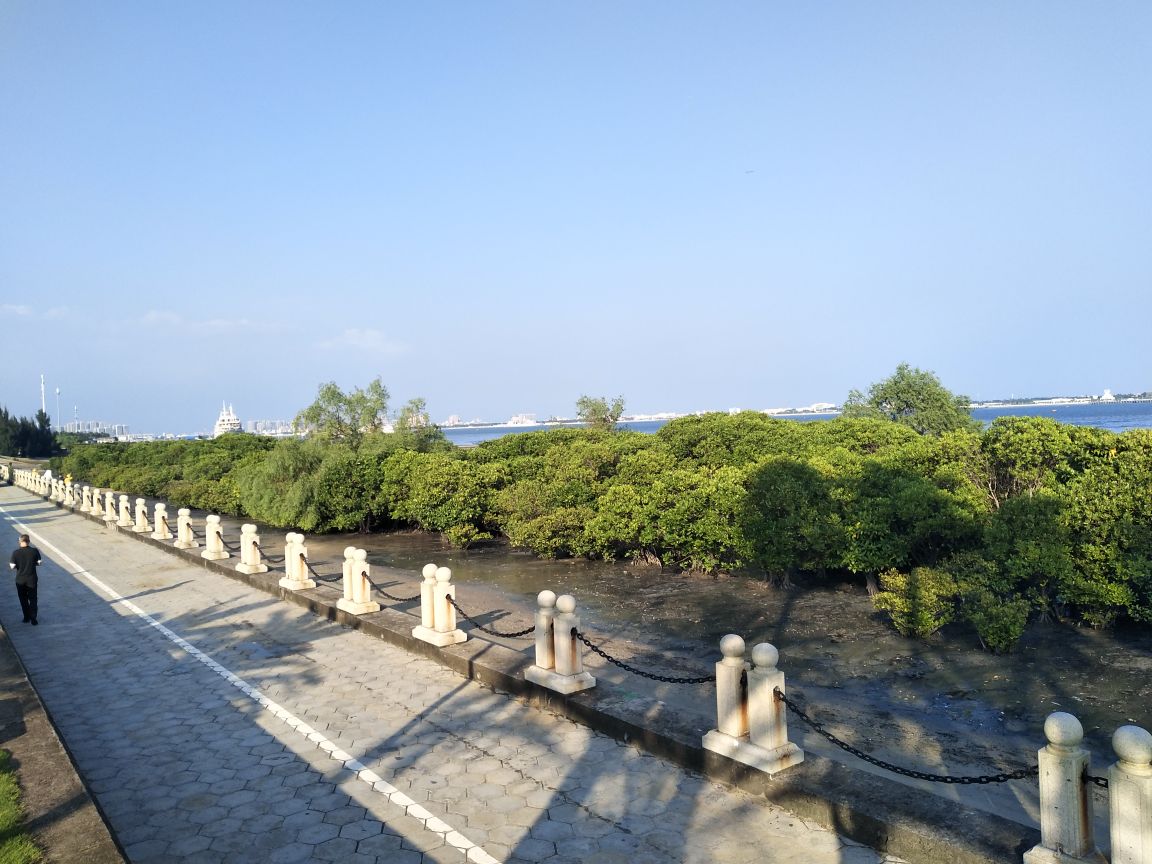 2019海滨公园_旅游攻略_门票_地址_游记点评,湛江旅游景点推荐 去