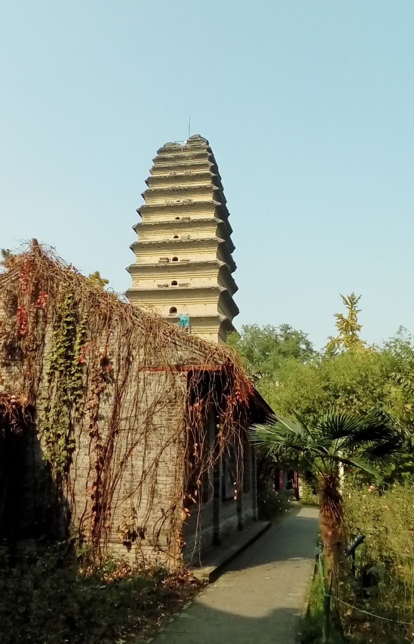 小雁塔(荐福寺)