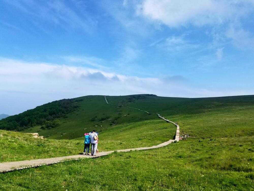 沁水历山国家森林公园