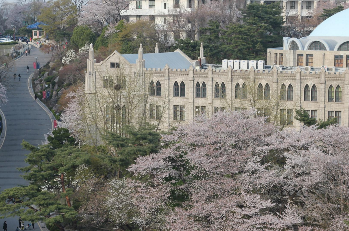 庆熙大学