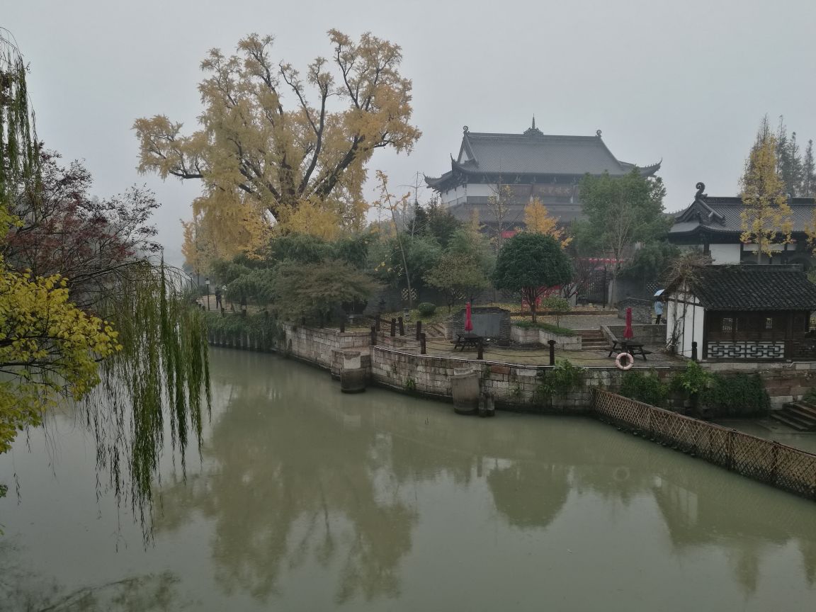 雨天的梅花洲游人非常少,踏着景区播放的悠扬的音乐,地面上铺满了金