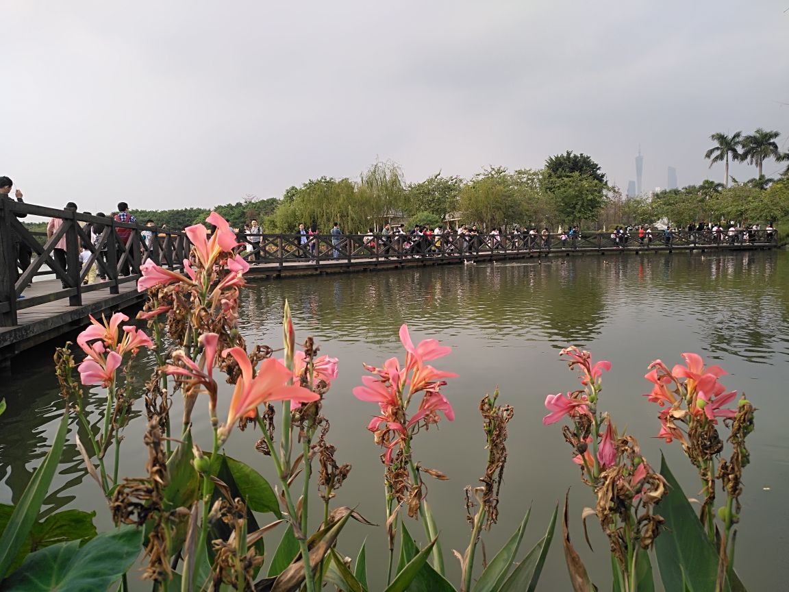 【携程攻略】广州海珠湿地公园景点,很喜欢海珠公园,已去过好多次了