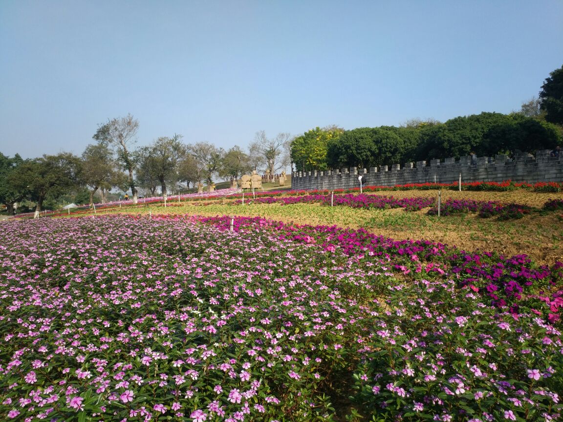 【携程攻略】东莞梦幻百花洲好玩吗,东莞梦幻百花洲景点怎么样_点评