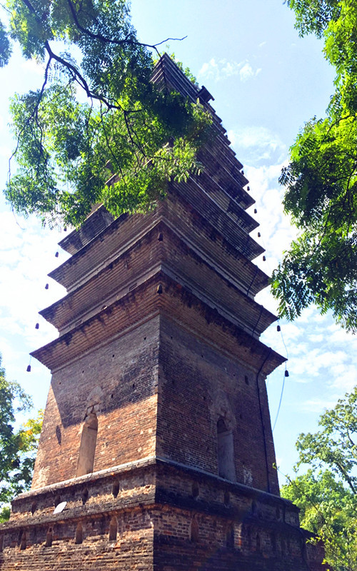 那一年,"川"梭中的回忆:足迹四川乐山—乐山大佛,罗城
