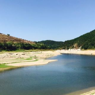 大帽山三角梅园   分 3条点评 景点 园林/花园 建筑人文 距景点5.