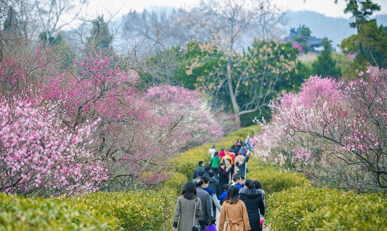 梅花山