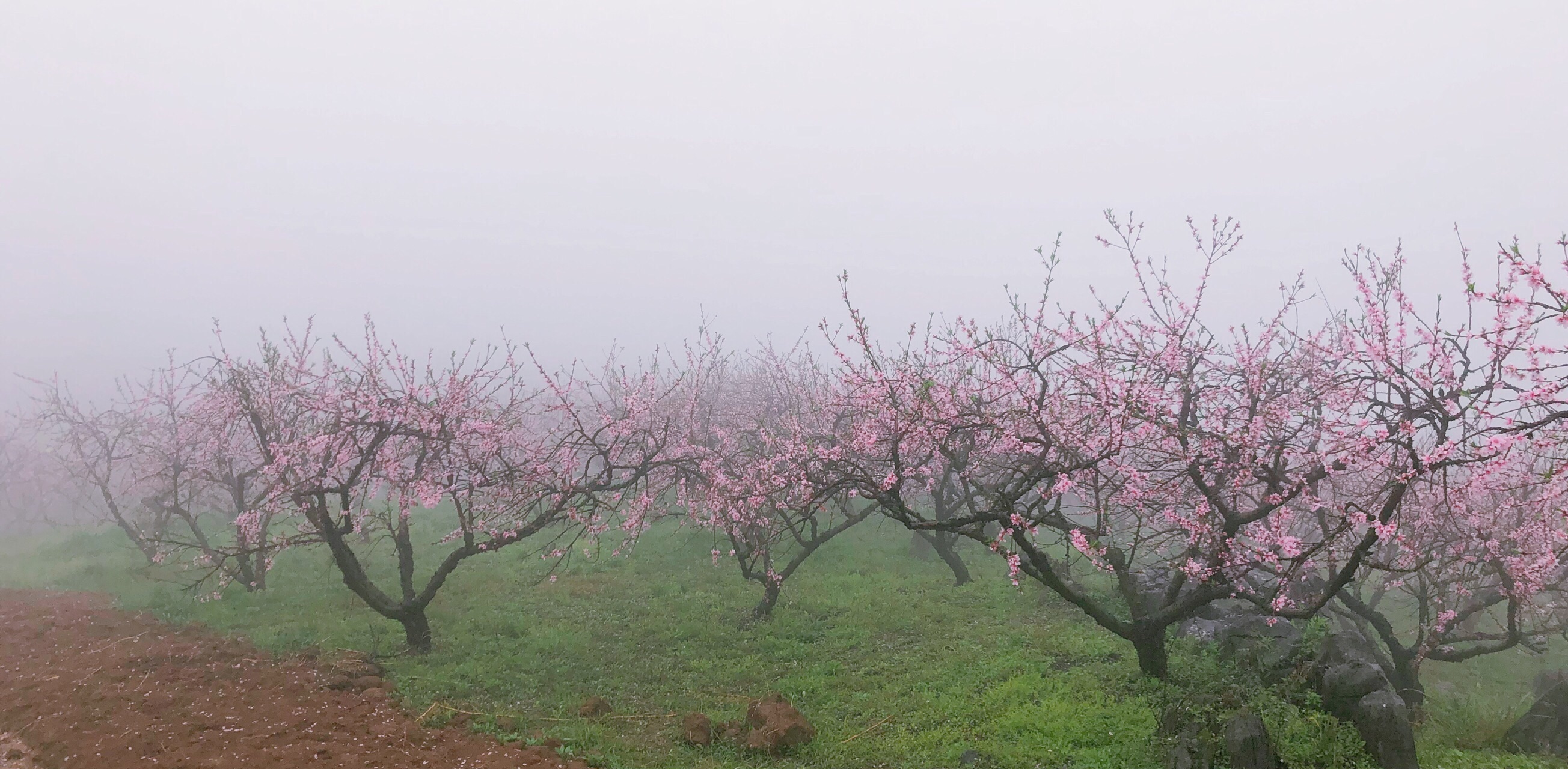 桂阳桃花溪风景区