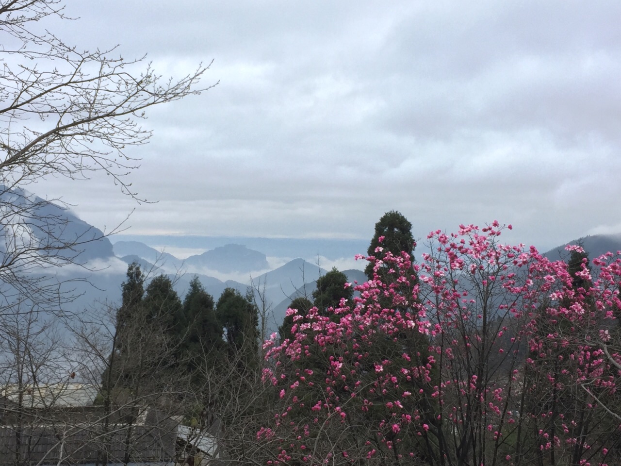 北川药王谷好玩吗,北川药王谷景点怎么样_点评_评价