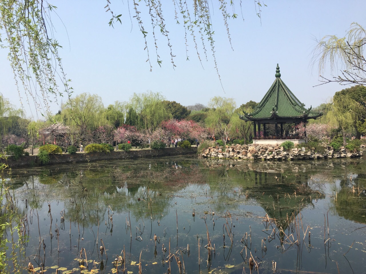首推蠡园沿水边的长堤,一棵柳树一棵桃树红绿间隔,在春风的吹拂下别有