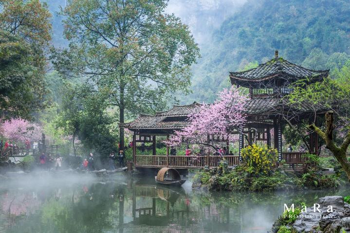 古时候的桃花源就在眼前,桃花花遍野,粉红晕染天际,满目皆是美景.