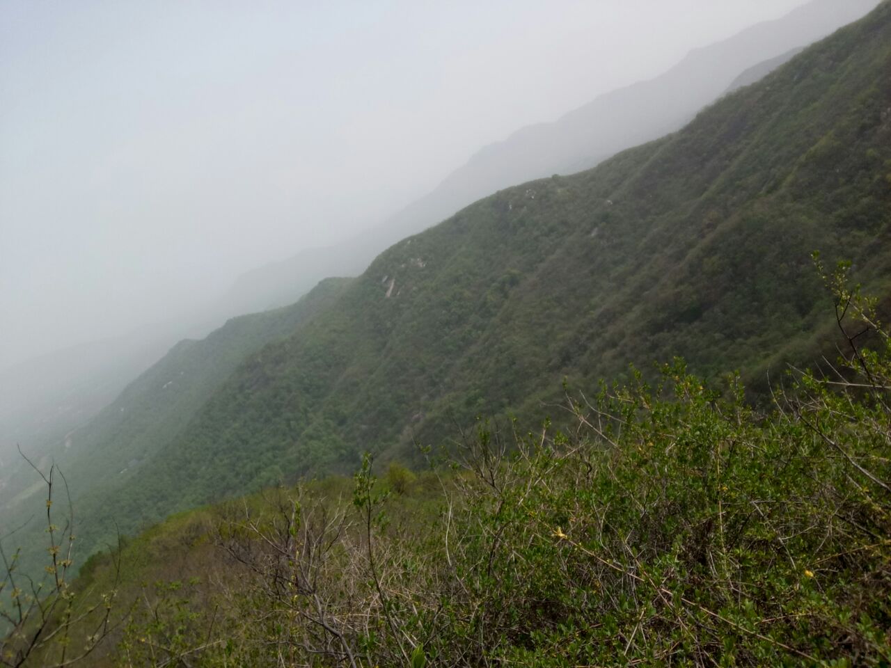 确山金顶山好玩吗,确山金顶山景点怎么样_点评_评价