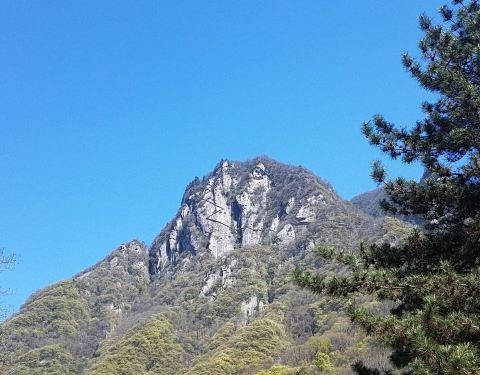 2019红河谷森林公园攻略,眉县红河谷森林公园二次元门票游戏图片