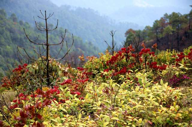 无限风光在顶峰——攀登米易县最高峰白坡山游记