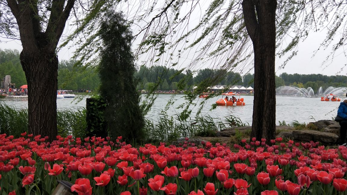 北京国际鲜花港