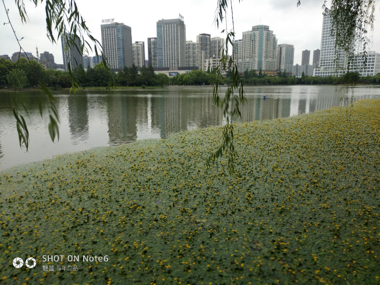 武汉菱角湖公园好玩吗,武汉菱角湖公园景点怎么样