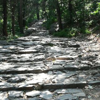 金仙庵 分 2条点评 景点 寺庙 赏银杏 历史遗迹 宗教场所 古迹 距