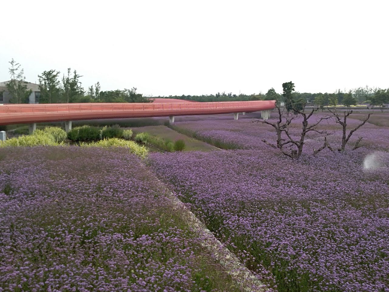 三台山森林公园