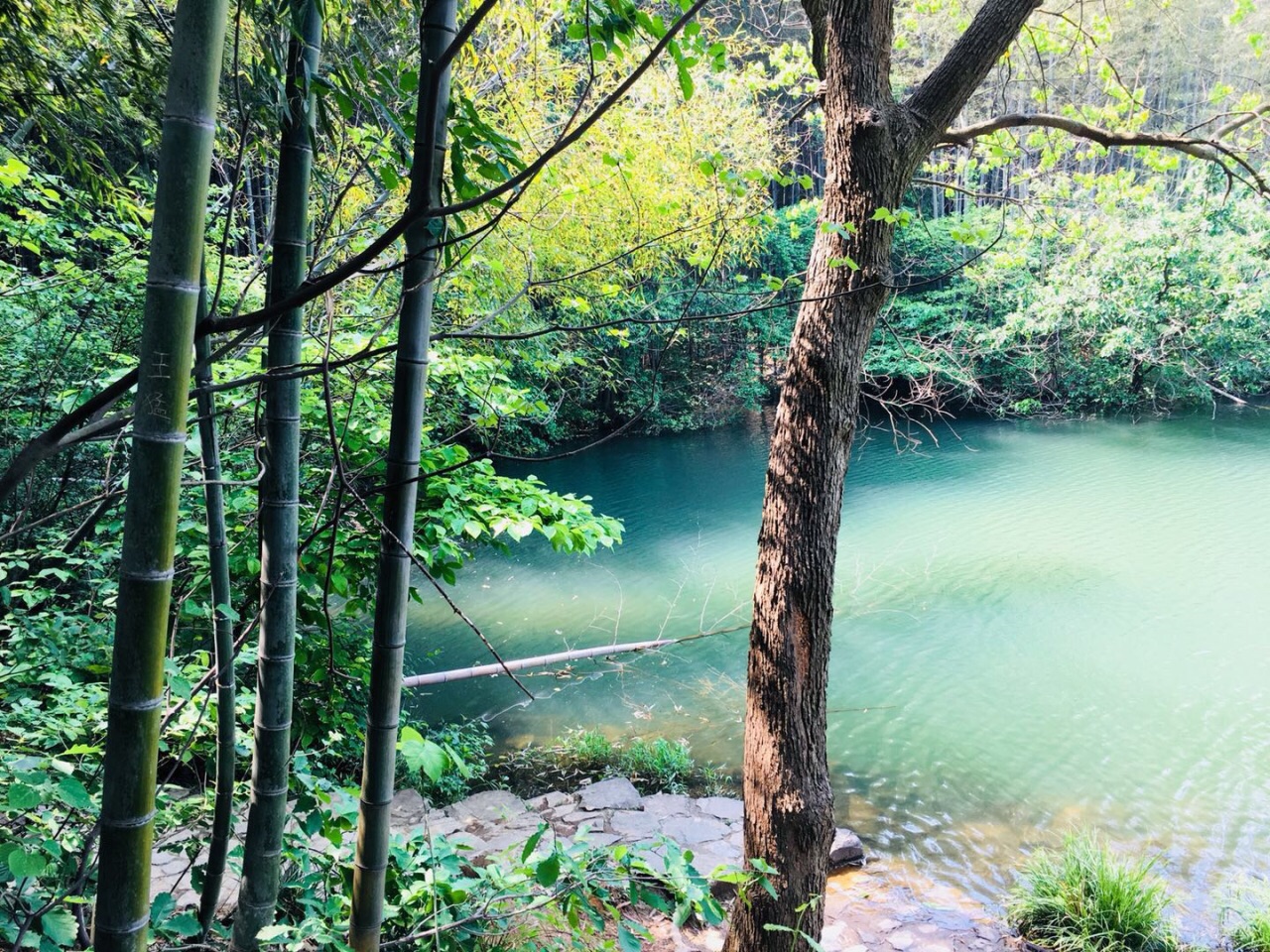 南京石塘竹海好玩吗,南京石塘竹海景点怎么样_点评_评价【携程攻略】