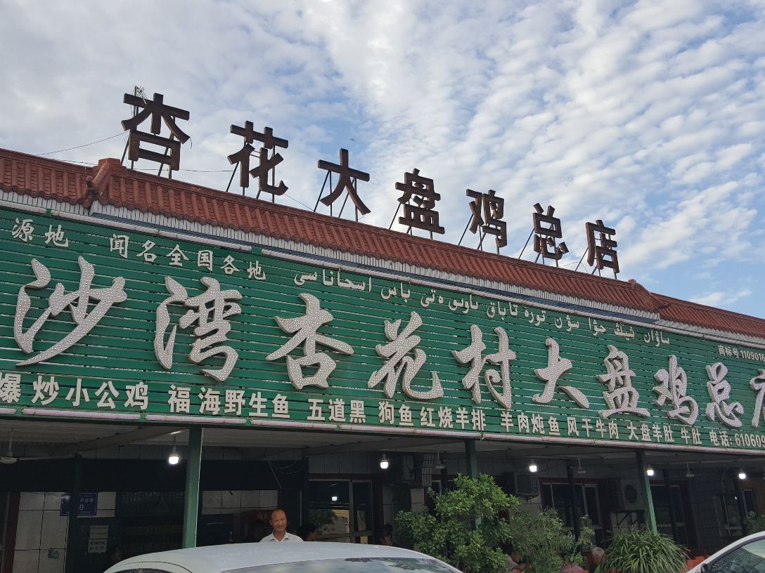 杏花村大盘鸡总店