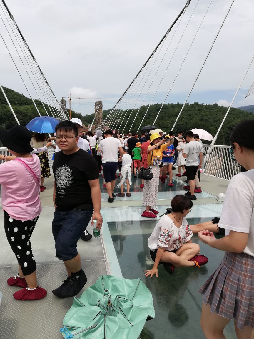 2019张家界大峡谷玻璃桥_旅游攻略_门票_地址_游记