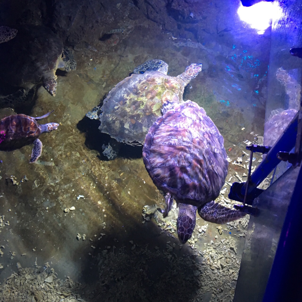 临沂极地海洋世界