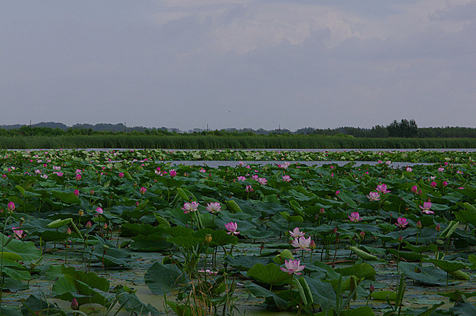 【莲花湖】大庆莲花湖以森林,湖泊,岛屿和峰崖石壁为主体景观,景区内