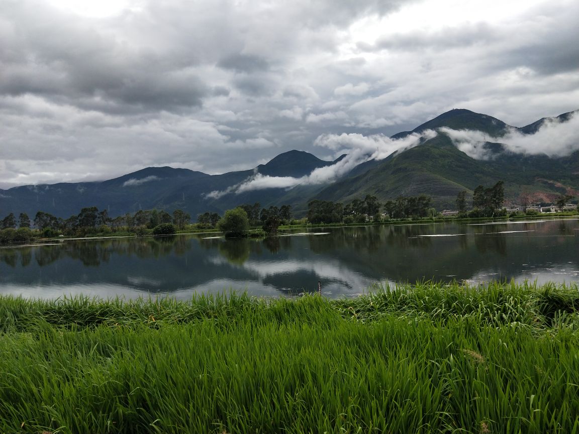 鹤庆草海