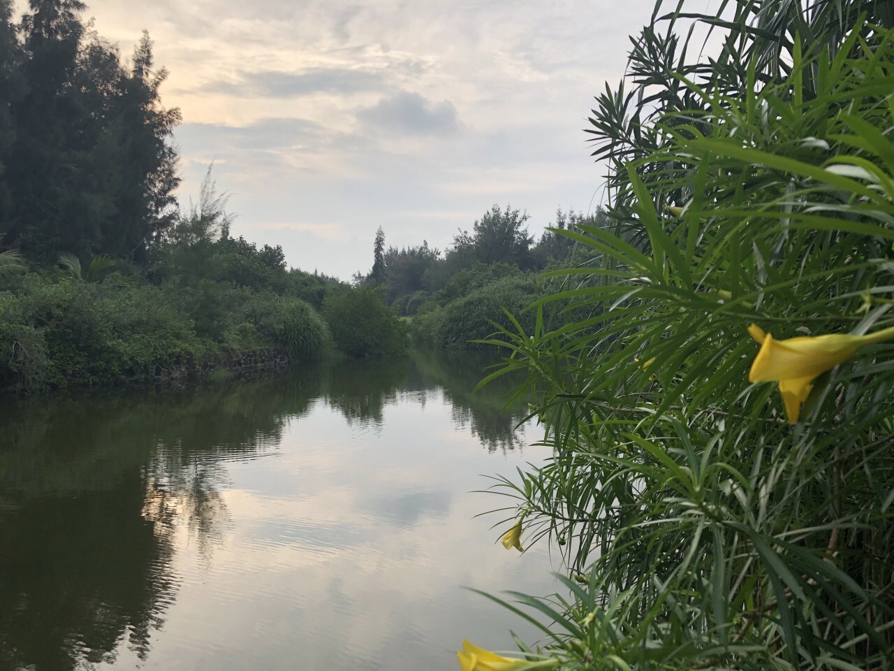 昌江海尾湿地公园好玩吗,昌江海尾湿地公园景点怎么样