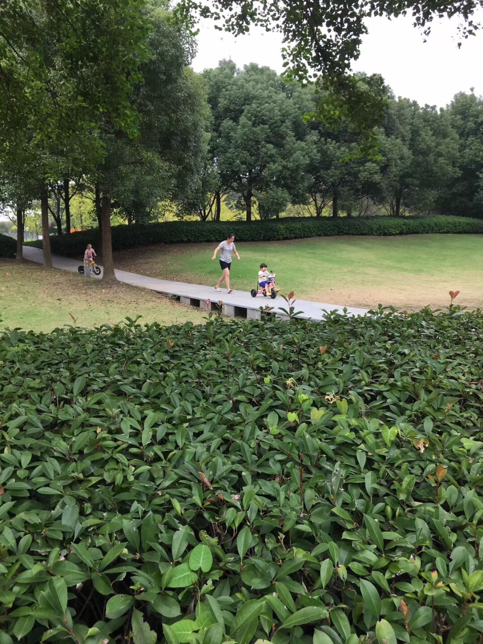 沁园湖绿地广场
