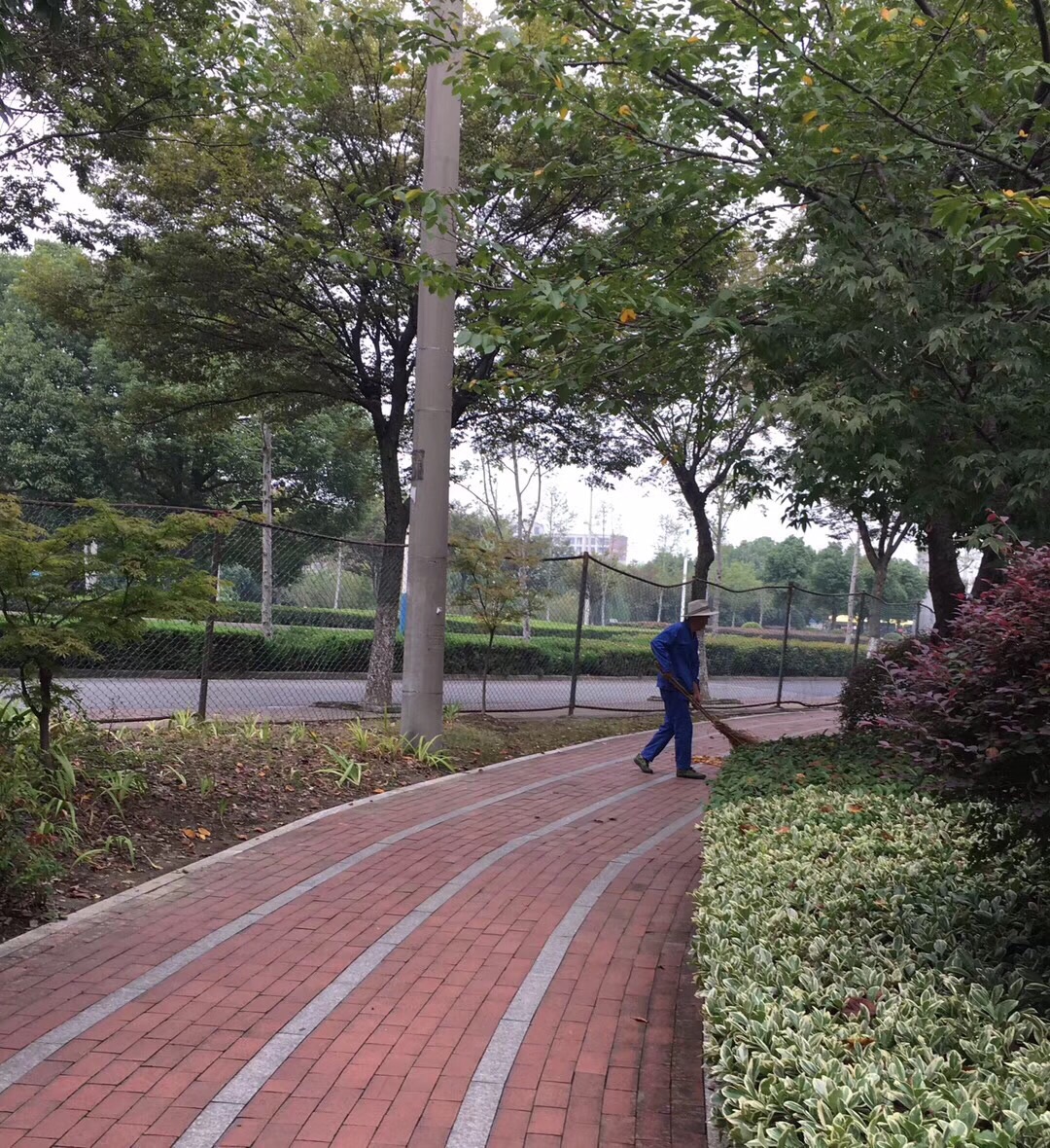 沁园湖绿地广场
