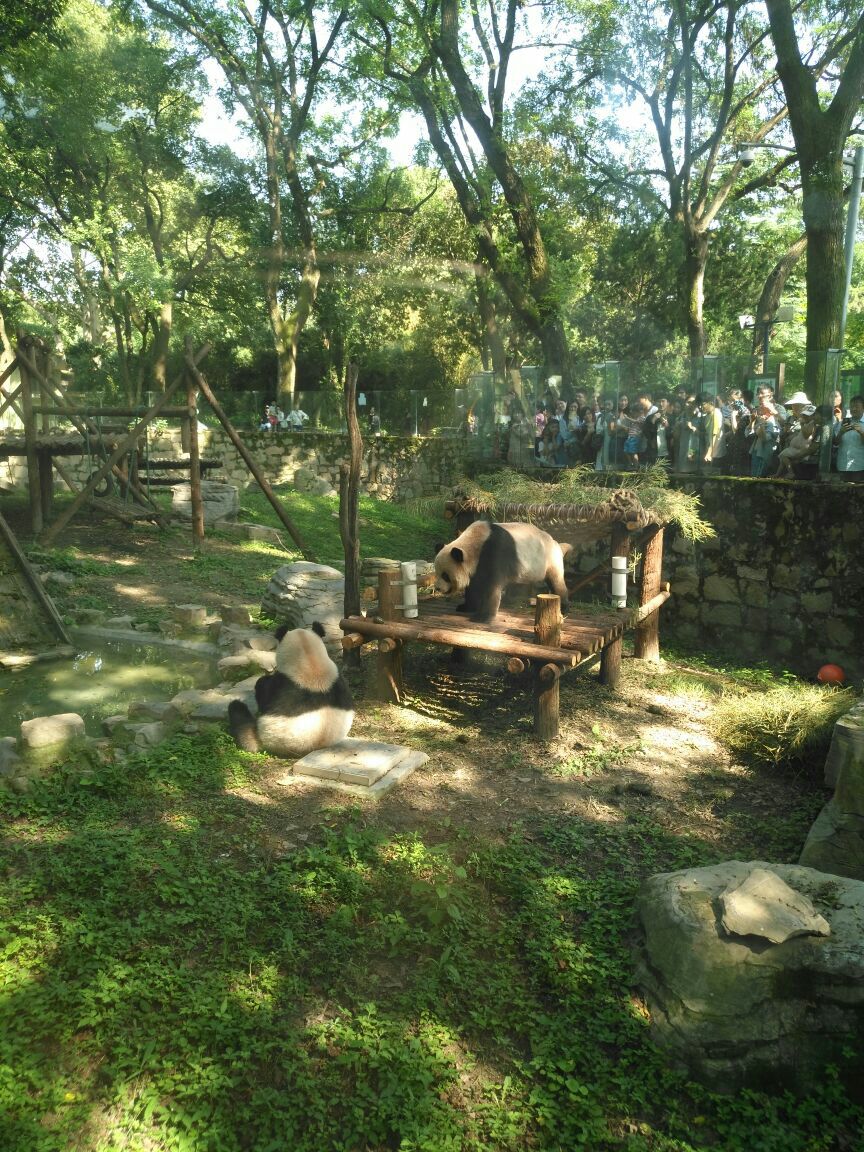 上海动物园旅游景点攻略图
