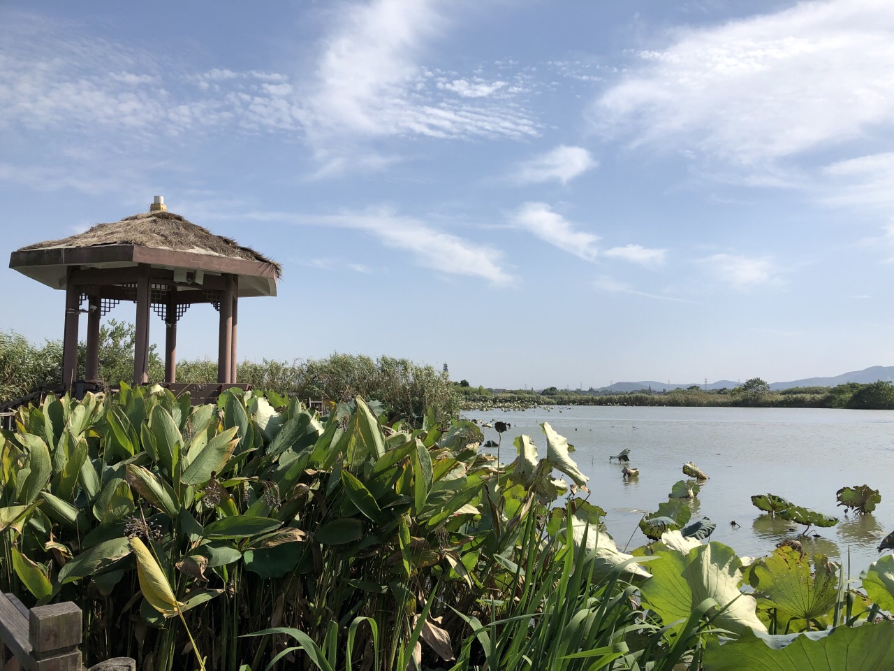 德清德清下渚湖湿地公园好玩吗,德清德清下渚湖湿地样