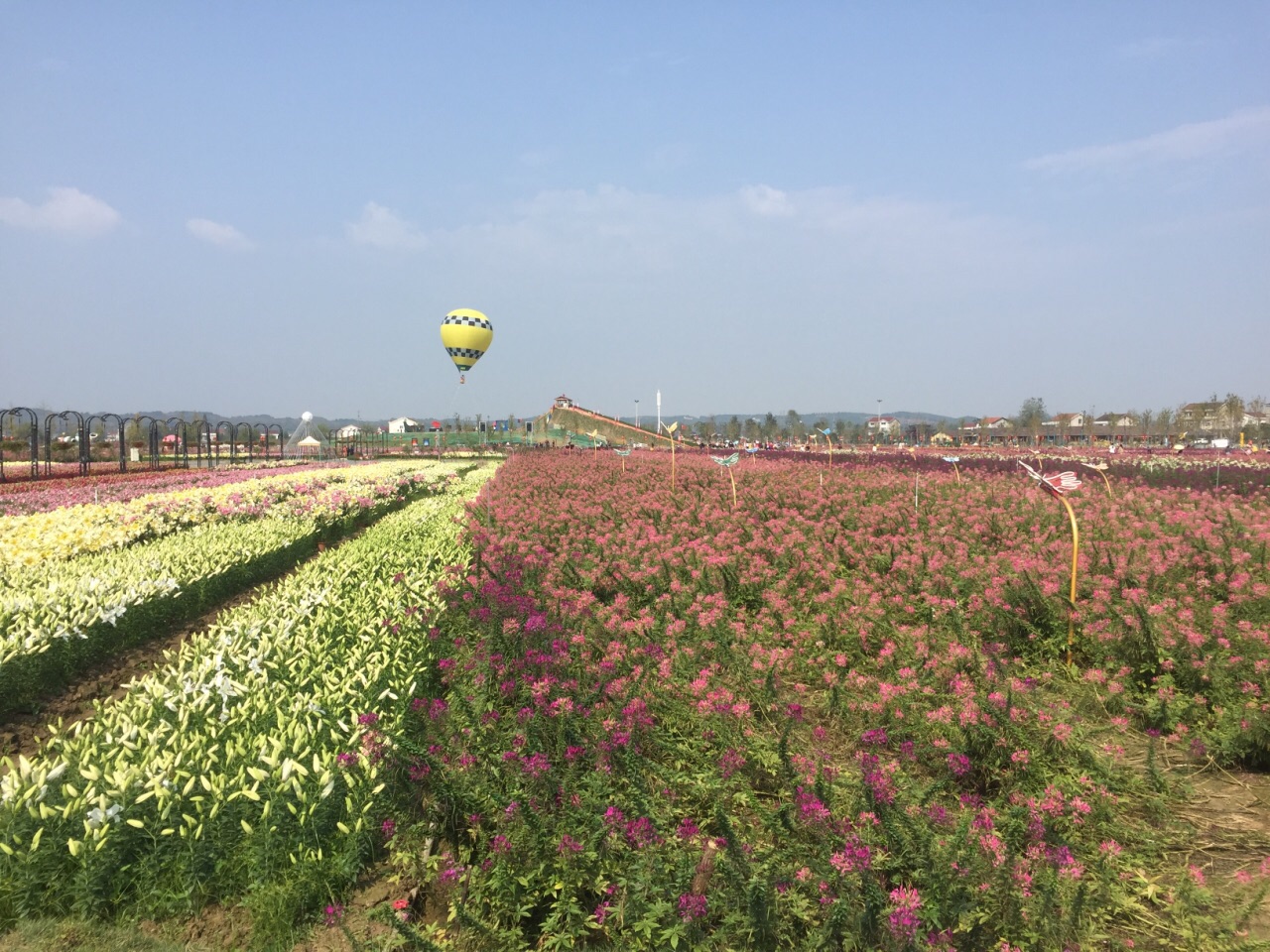 桃源枫林花海好玩吗,桃源枫林花海景点怎么样_点评_评价【携程攻略】