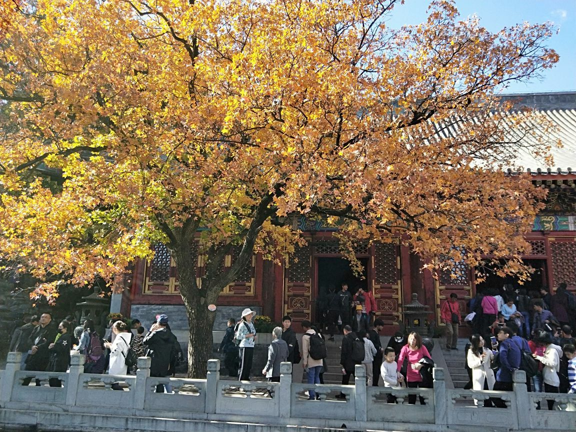 香山公园旅游景点攻略图