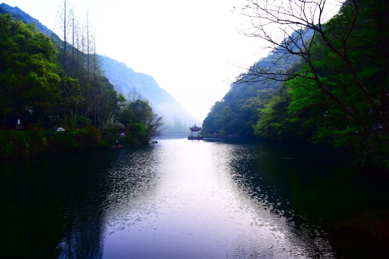 宁海森林温泉