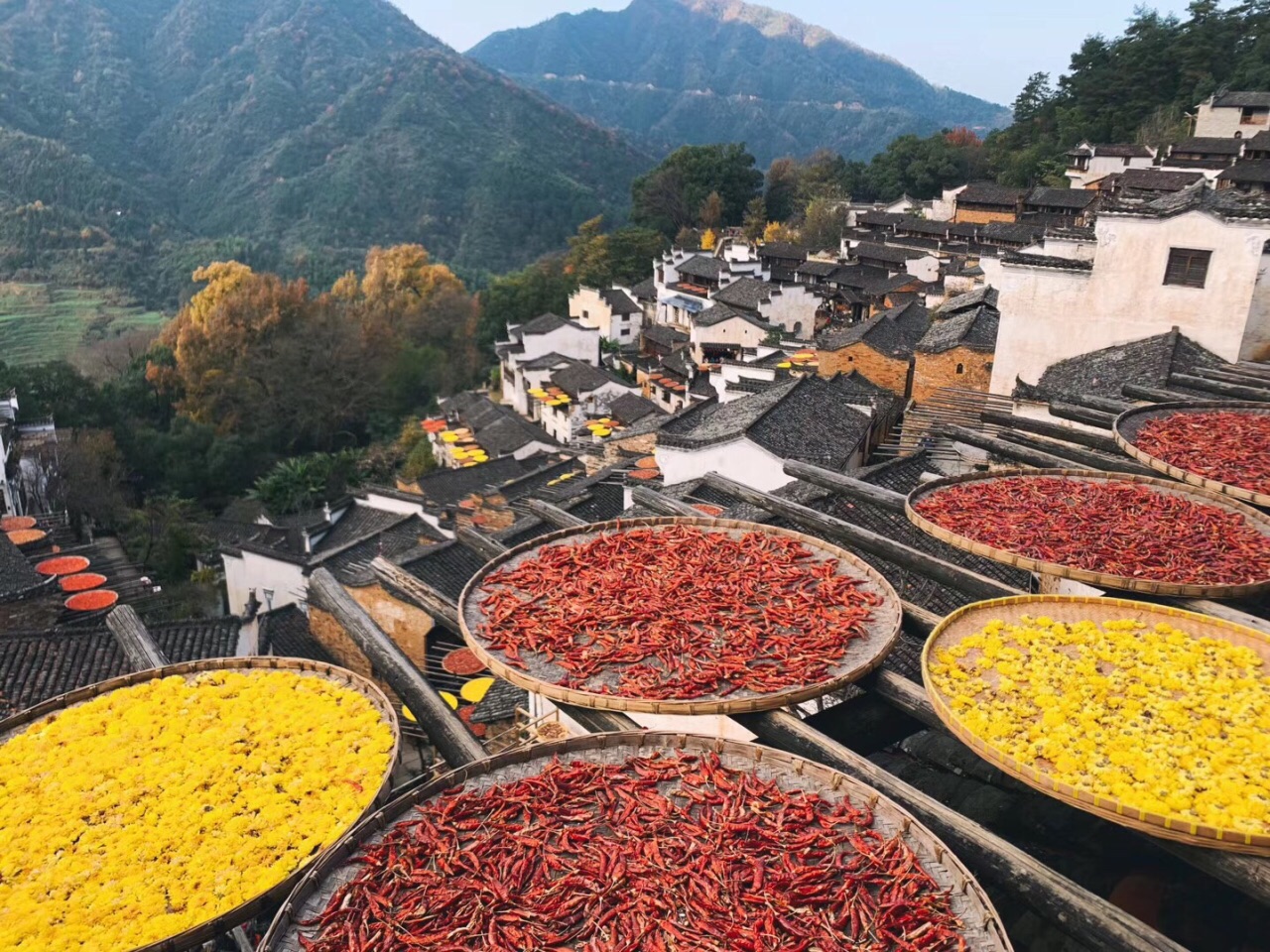 婺源篁岭