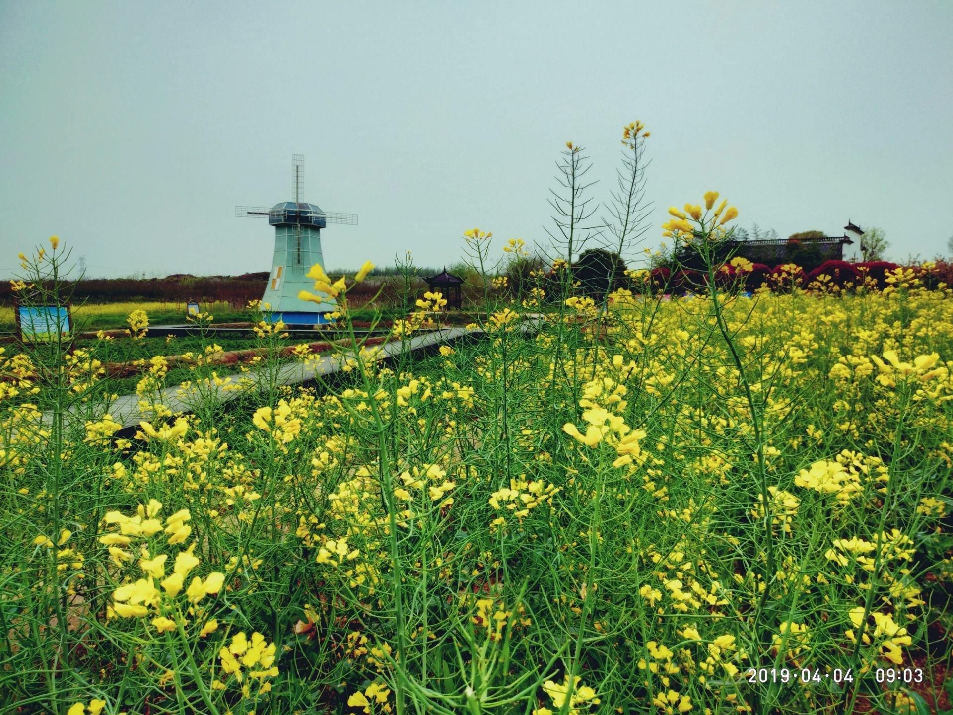 紫薇都市田园旅游景点攻略图