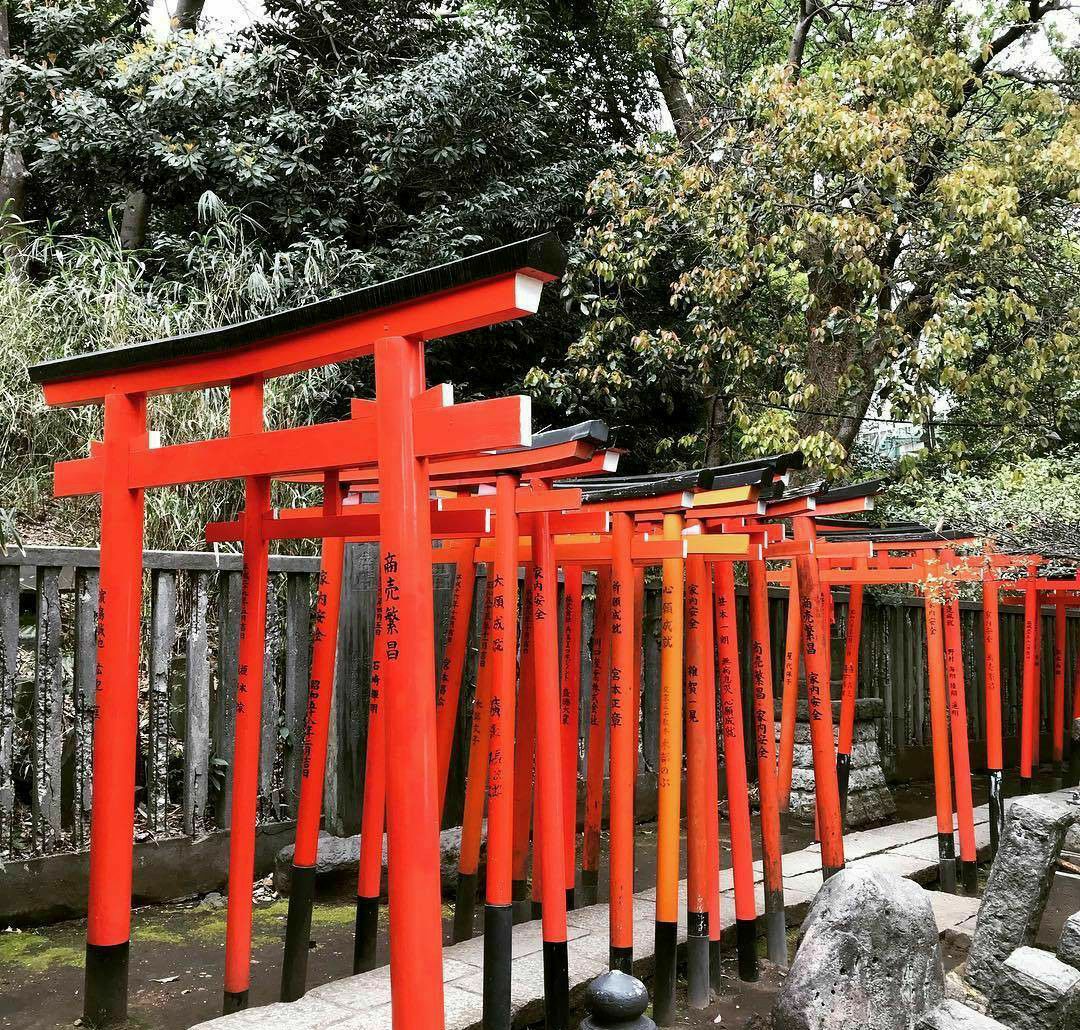 根津神社nezu shrine