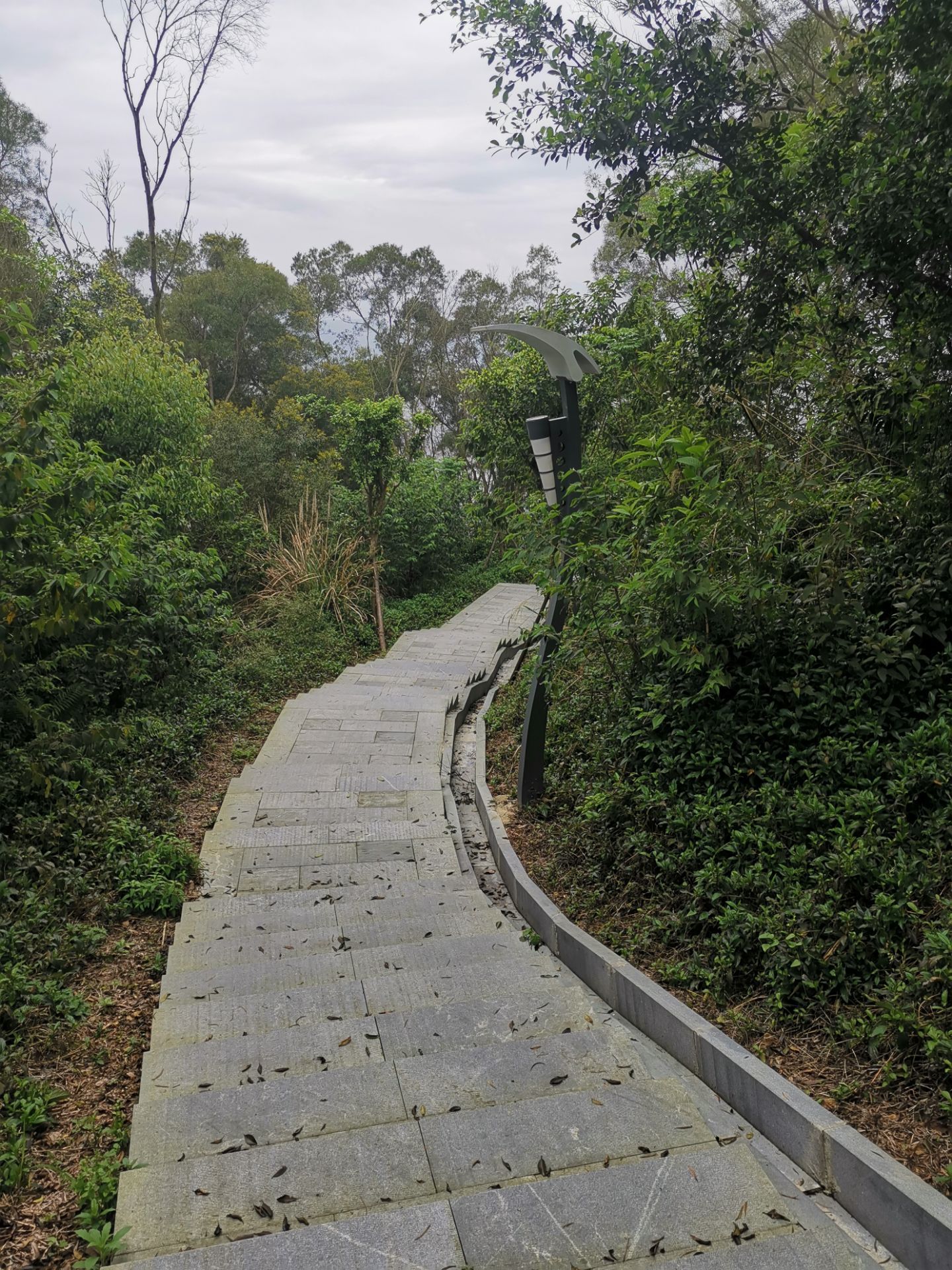 福州南山公园好玩吗,福州南山公园景点怎么样_点评_评价【携程攻略】