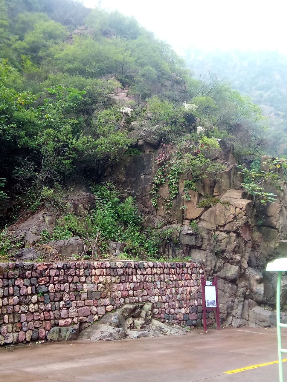 小沟背风景区,济源小沟背风景区攻略/地址/图片/门票