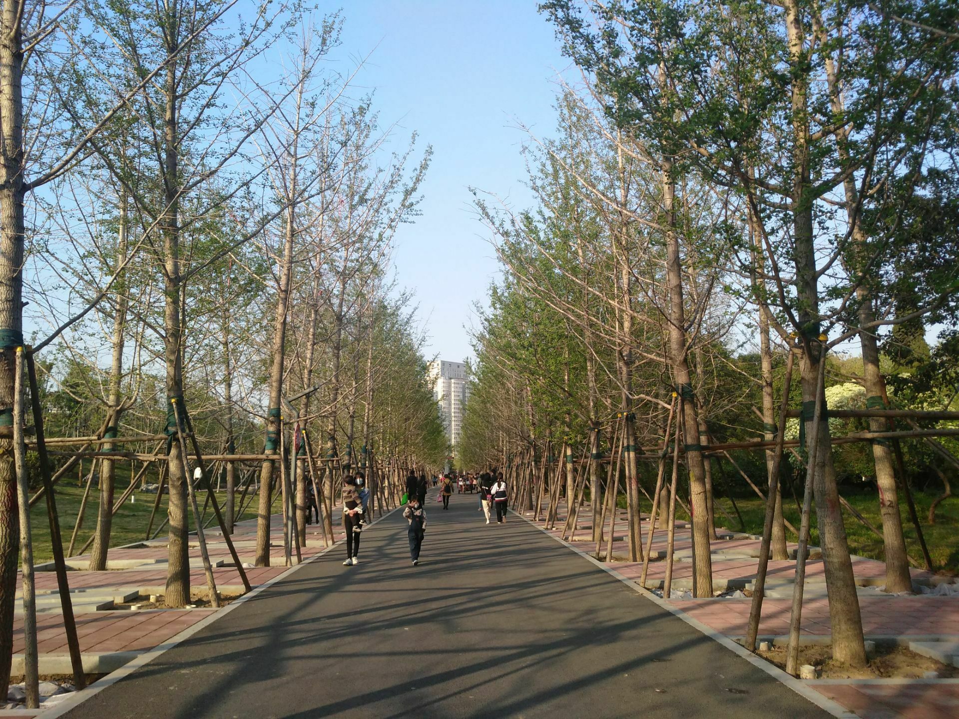 新乡市人民公园