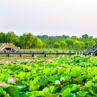 仙山湖风景区