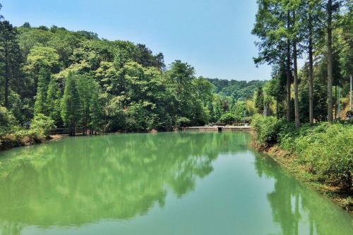 大山冲森林公园