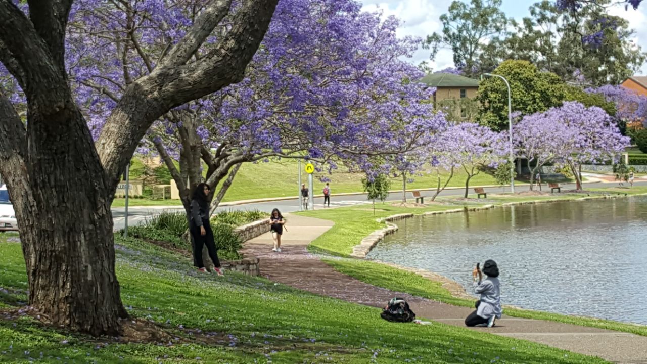 昆士兰大学
