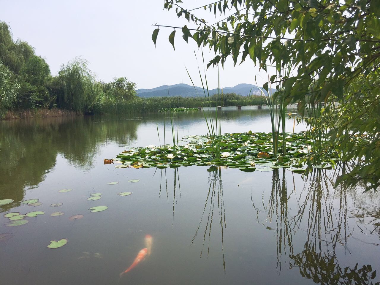 小南湖景区