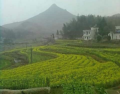 2019贵清山旅游风景区攻略,定西贵清山旅游风阴毒师门票九图片