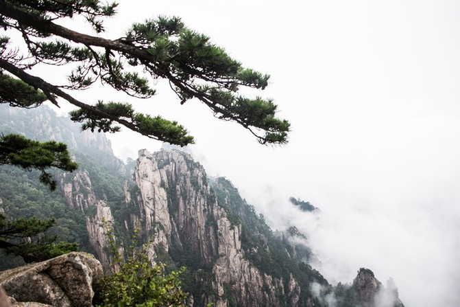 租辆车去黄山吧 看中国最美的山景