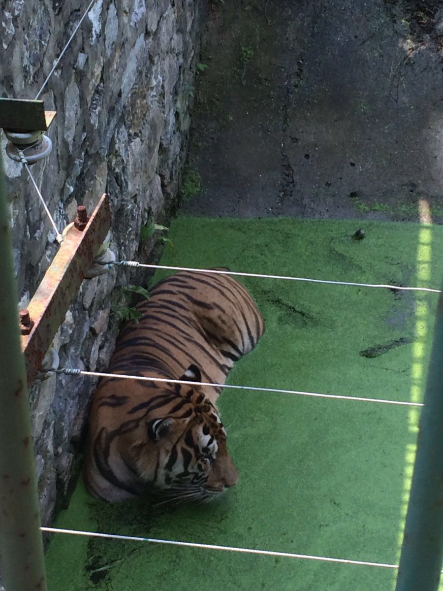 浦口珍珠泉野生动物生态园