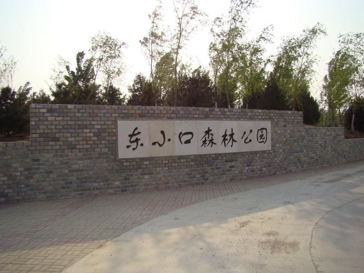 东小口森林公园