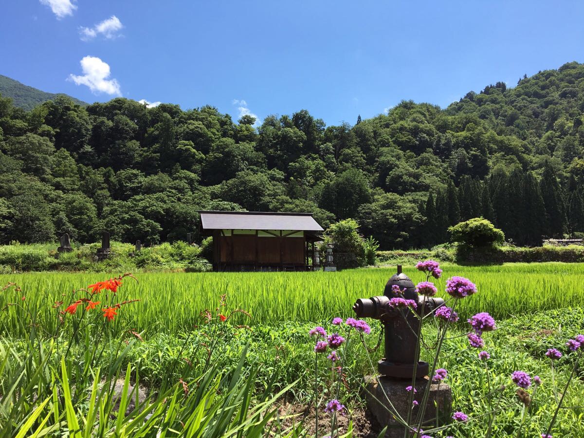 白川乡合掌村